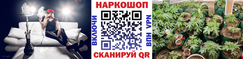 Где найти наркотики Чекалин Альфа ПВП  АМФЕТАМИН  Cocaine  НБОМе  Мефедрон 