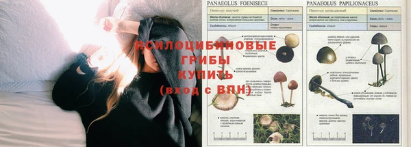 ешки Абаза