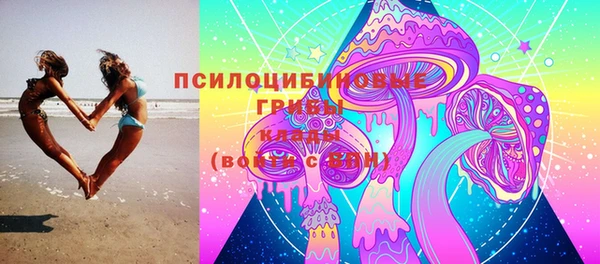 spice Алексеевка