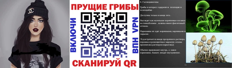 hydra маркетплейс  купить  цена  Чекалин  Псилоцибиновые грибы мицелий 